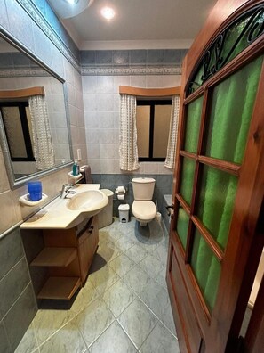 Une salle de bain avec un lavabo, des toilettes et une fenêtre dotée d’un cadre vert.