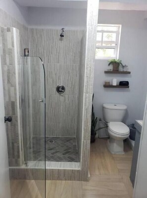Shower, hair dryer, towels, soap - Charming 2-bedroom apartment in gorgeous Grande Riviere with AC, WiFi (Grande Riviere)