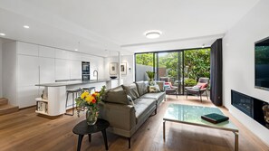 Smart TV, fireplace, books