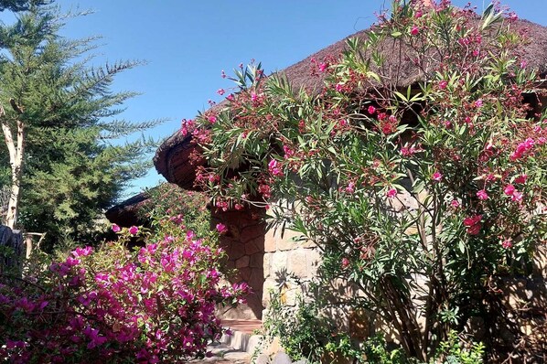 Exterior - Bethan Amba ecovillage (Lalibela)