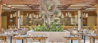JAZ Viva Almaza Blu, Almaza Bay
