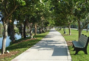 A paved walkway lined with trees and benches, leading to a body of water.