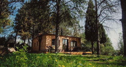 Chalet in the heart of nature on wooded grounds, hammock, table tennis, massage, yoga.