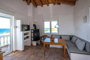 Televisión, chimenea y libros