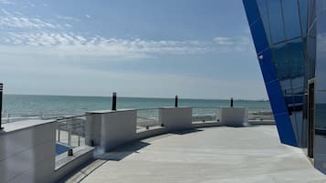 Suite ejecutiva | Terraza o patio