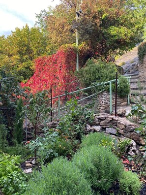 A garden with a stone wall, various plants, and a metal fence. - La Maison Madeleine (Nyons)