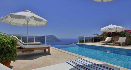 Luxury villa with sea view close to the center