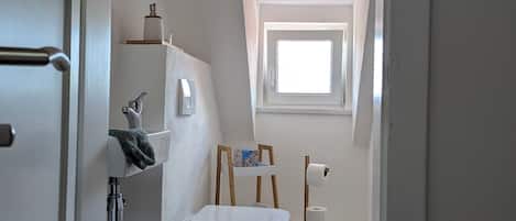 Shower, hair dryer, towels, toilet paper