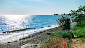A coastal landscape with a pebble beach, a path, and red flowers. - 5 Person Holiday Home in Kerteminde (Kerteminde)