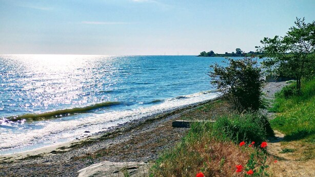 Paisaje costero con playa de piedras, un sendero y flores rojas.
