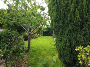 House | Property grounds