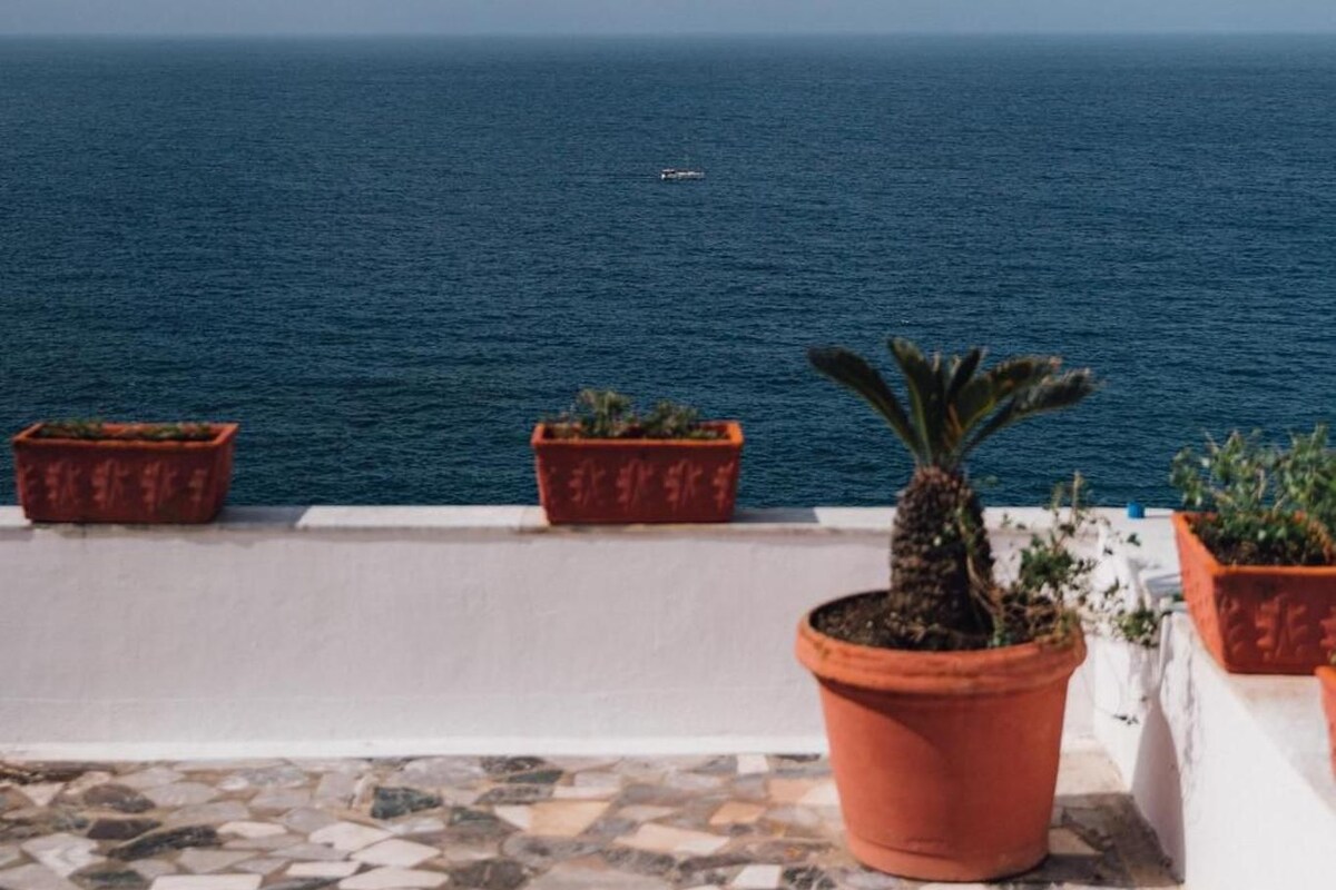 A terrace with potted plants overlooking a body of water.