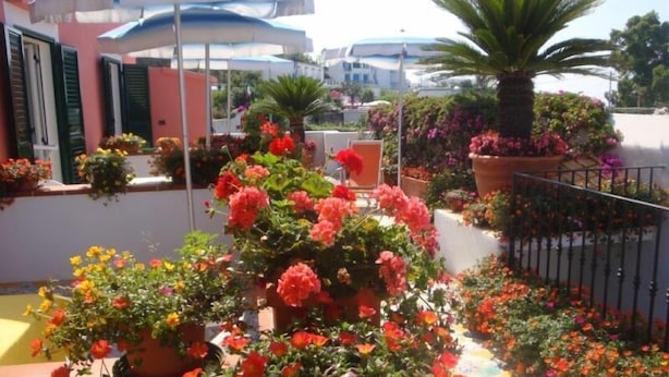 Un cortile con piante in vaso e ombrelloni.
