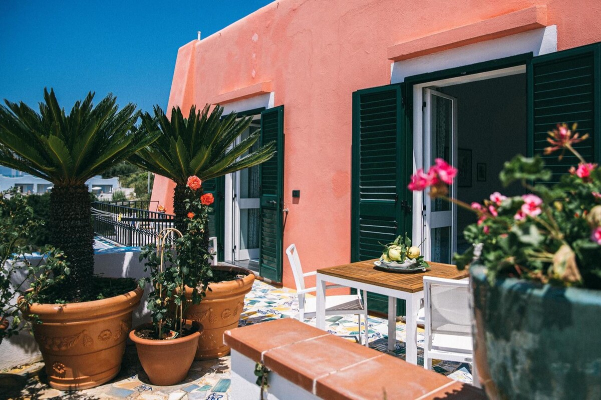 A sunny outdoor patio with terracotta planters, a wooden table, and a white chair.