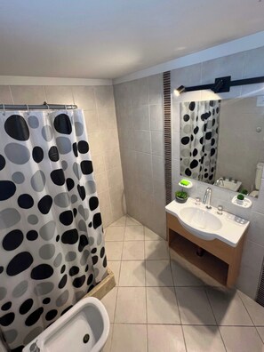 Regadera, secadora de cabello, bidet, toallas 