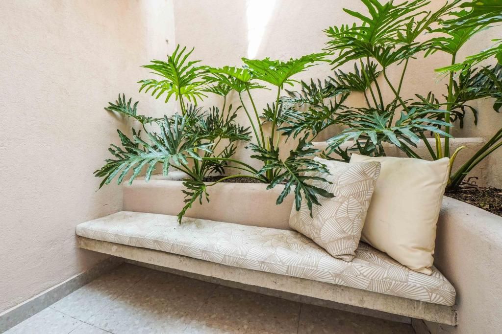 Un área de descanso con un banco acolchado, rodeada de diversas plantas verdes.