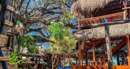 Pousada Stella Maris