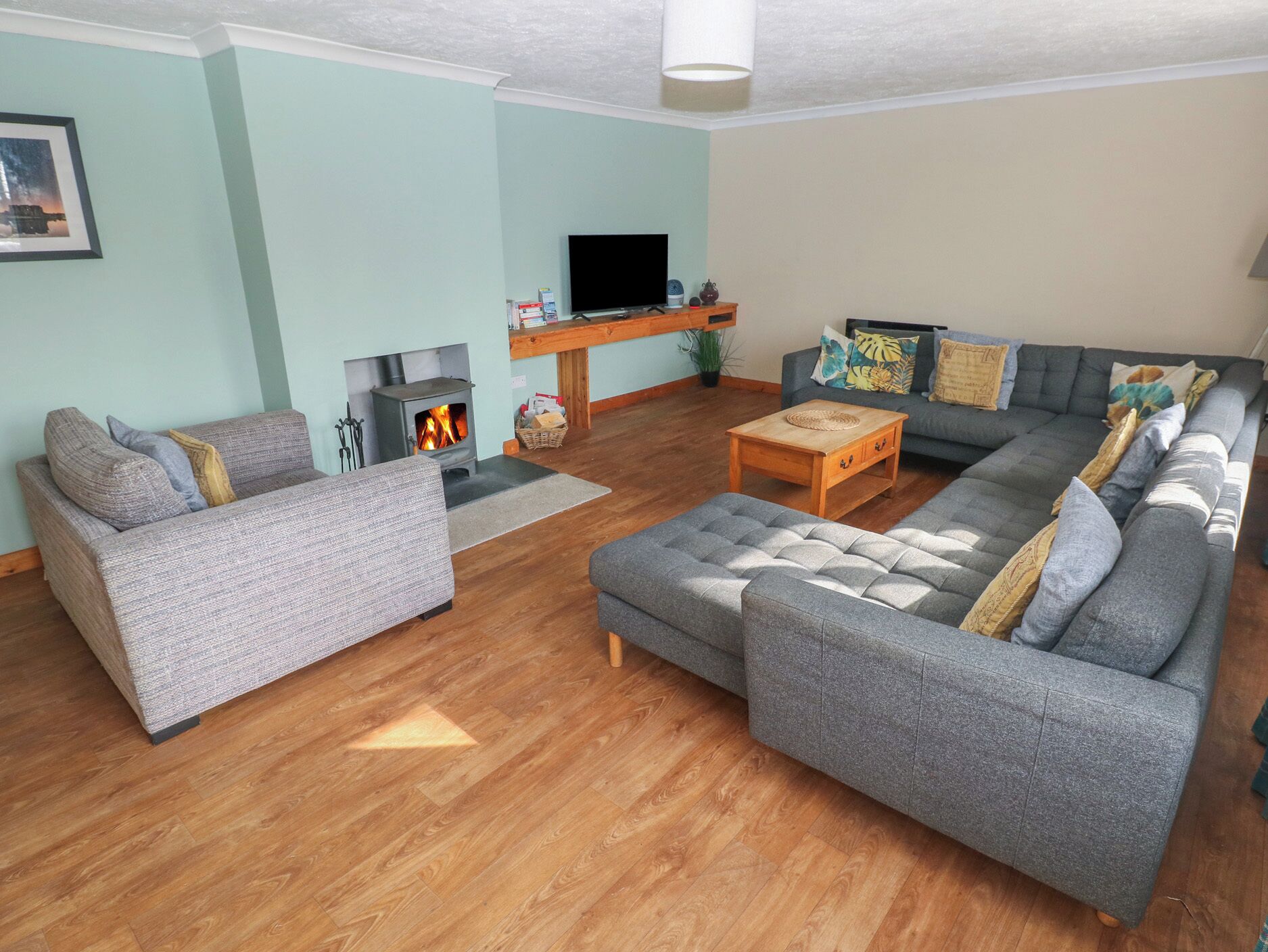 Flat-screen TV, fireplace, DVD player