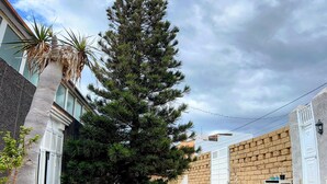 Un quartier résidentiel avec un grand pin, un cactus et un escalier menant à une entrée fermée par un portail.