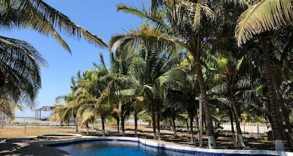 Welcome to the Coconut Grove
Beach front Property