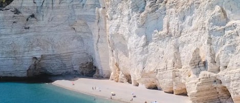 Lettini da mare