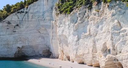 St. Francis Lodge - Home among the Olive Trees and the Sea