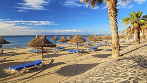 A beach with thatched umbrellas, sun loungers, and palm trees. - Villa Tricia 6 Bedroom Las Americas (Arona)