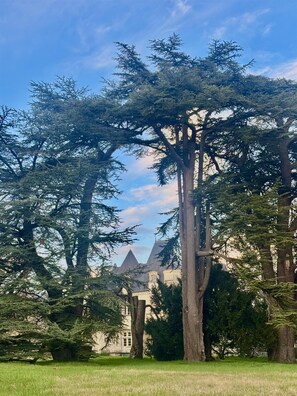 Exterior - Château Royal de Benays (Benais)