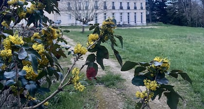 Château Royal de Benays