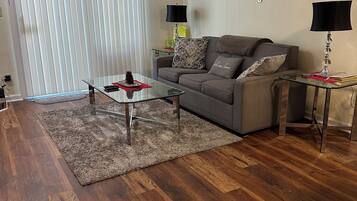 Télévision, lecteur de DVD, livres, vidéothÚque