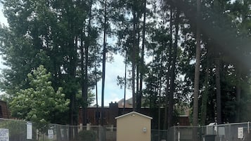 Alberca al aire libre