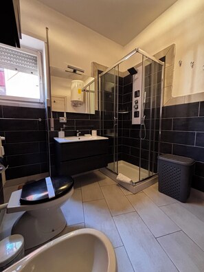Shower, hair dryer, bidet, towels
