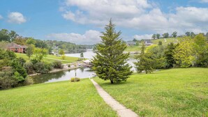 A riverside view with a pathway leading to a large evergreen tree, surrounded by lush greenery and residential buildings. - Lazy Days Waterfront for 12! (Williamstown)