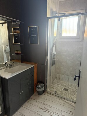 Shower, hair dryer, towels, toilet paper