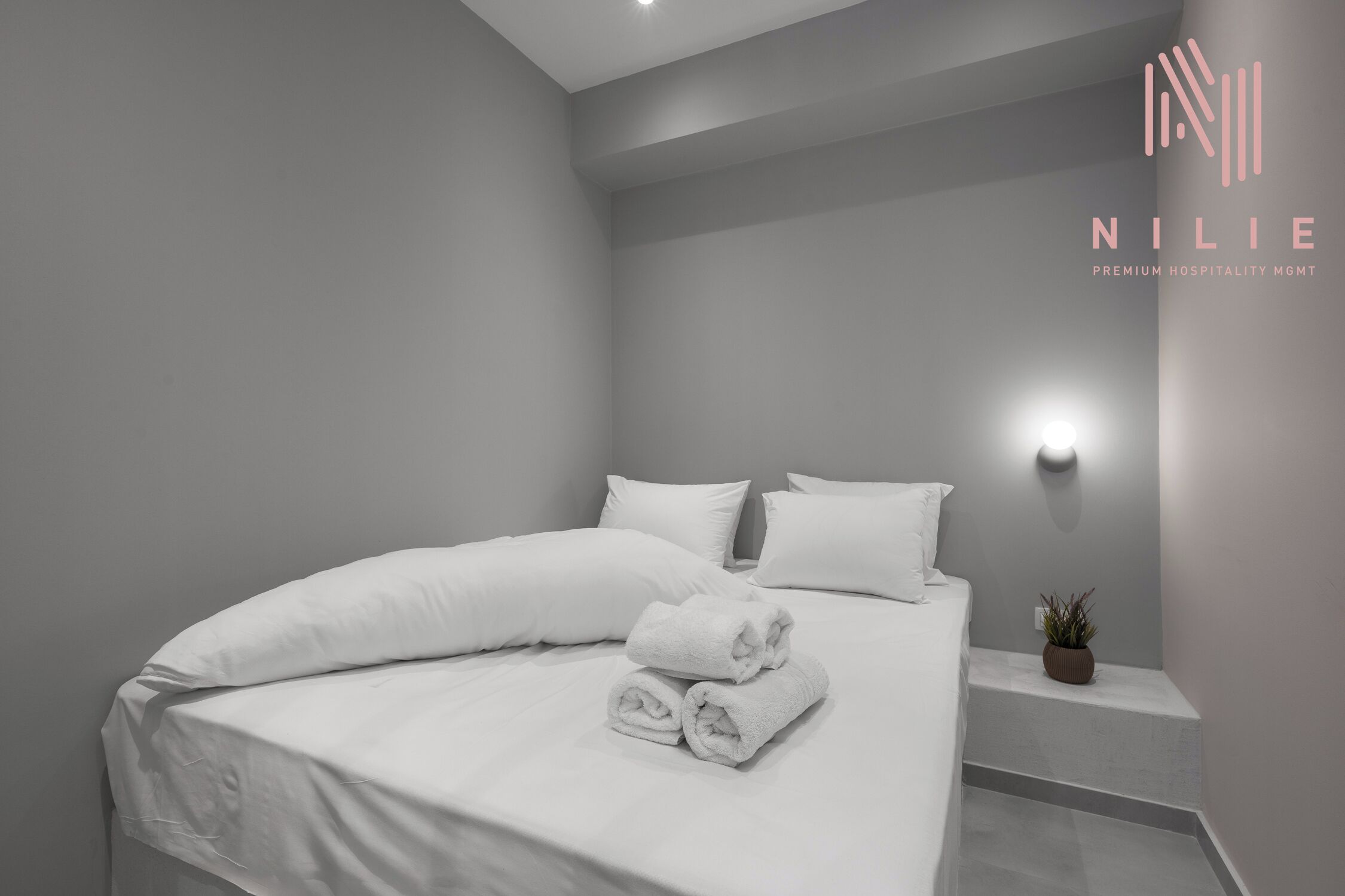 A modern hotel room with a neatly made bed, a small bedside table with a plant, and a wall-mounted light.