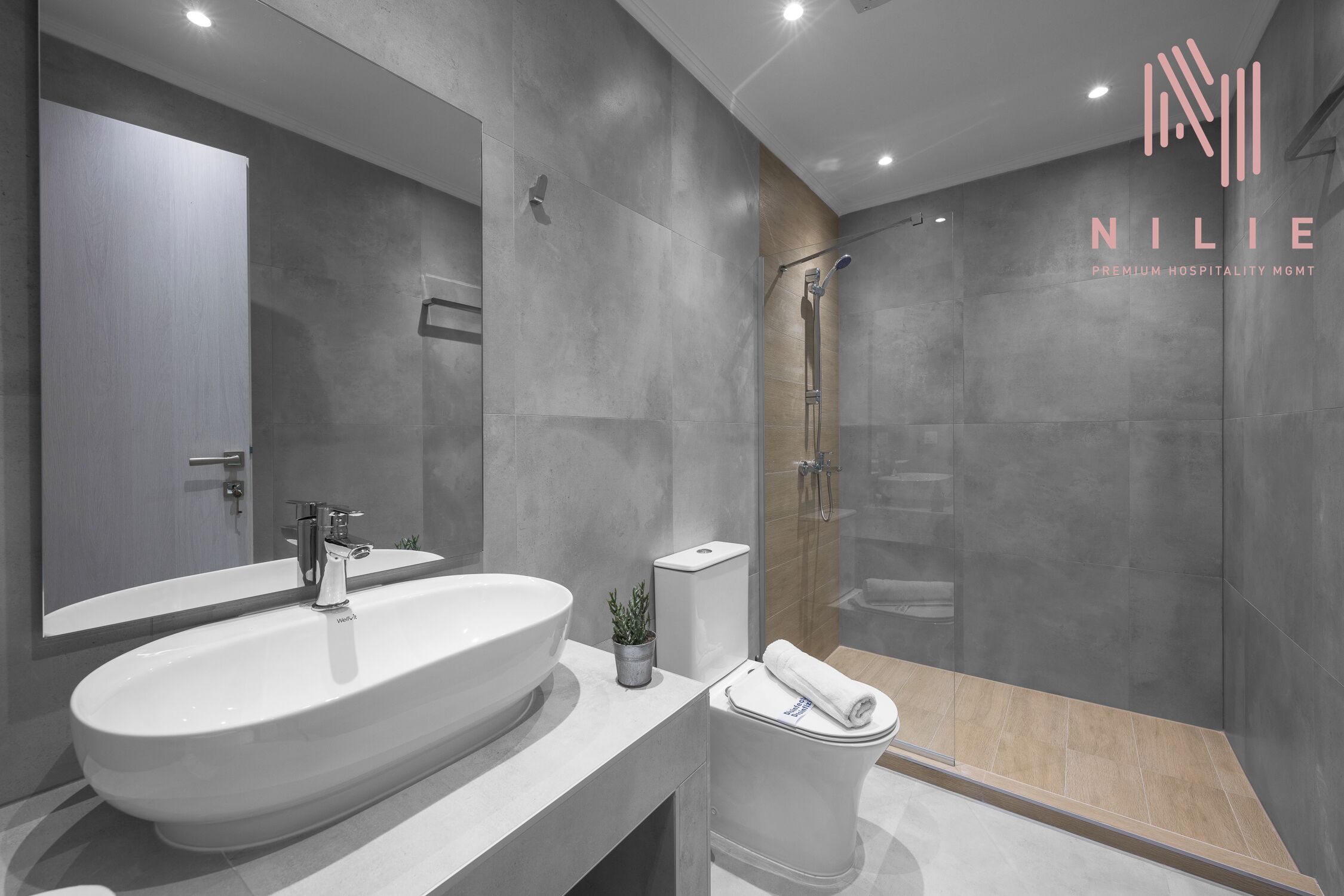 Studio | Bathroom | Shower, hydromassage showerhead, hair dryer, towels