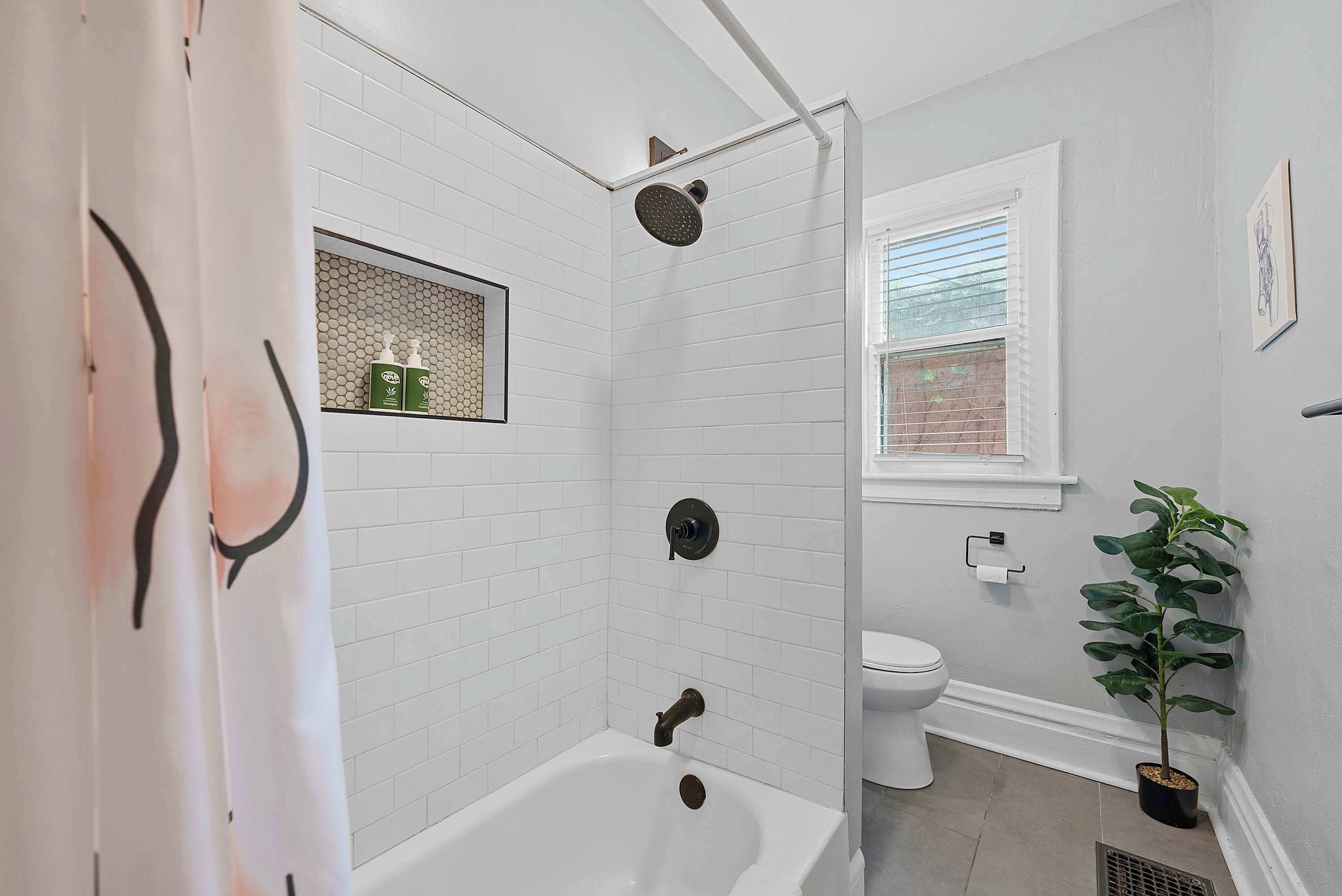 A bathroom with a white bathtub, a shower, a toilet, and a potted plant.