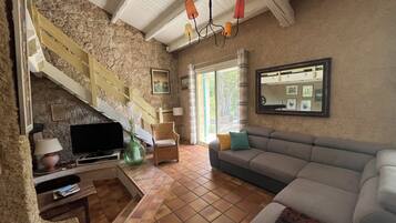 TV, fireplace, books