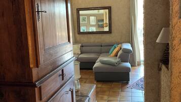 TV, fireplace, books