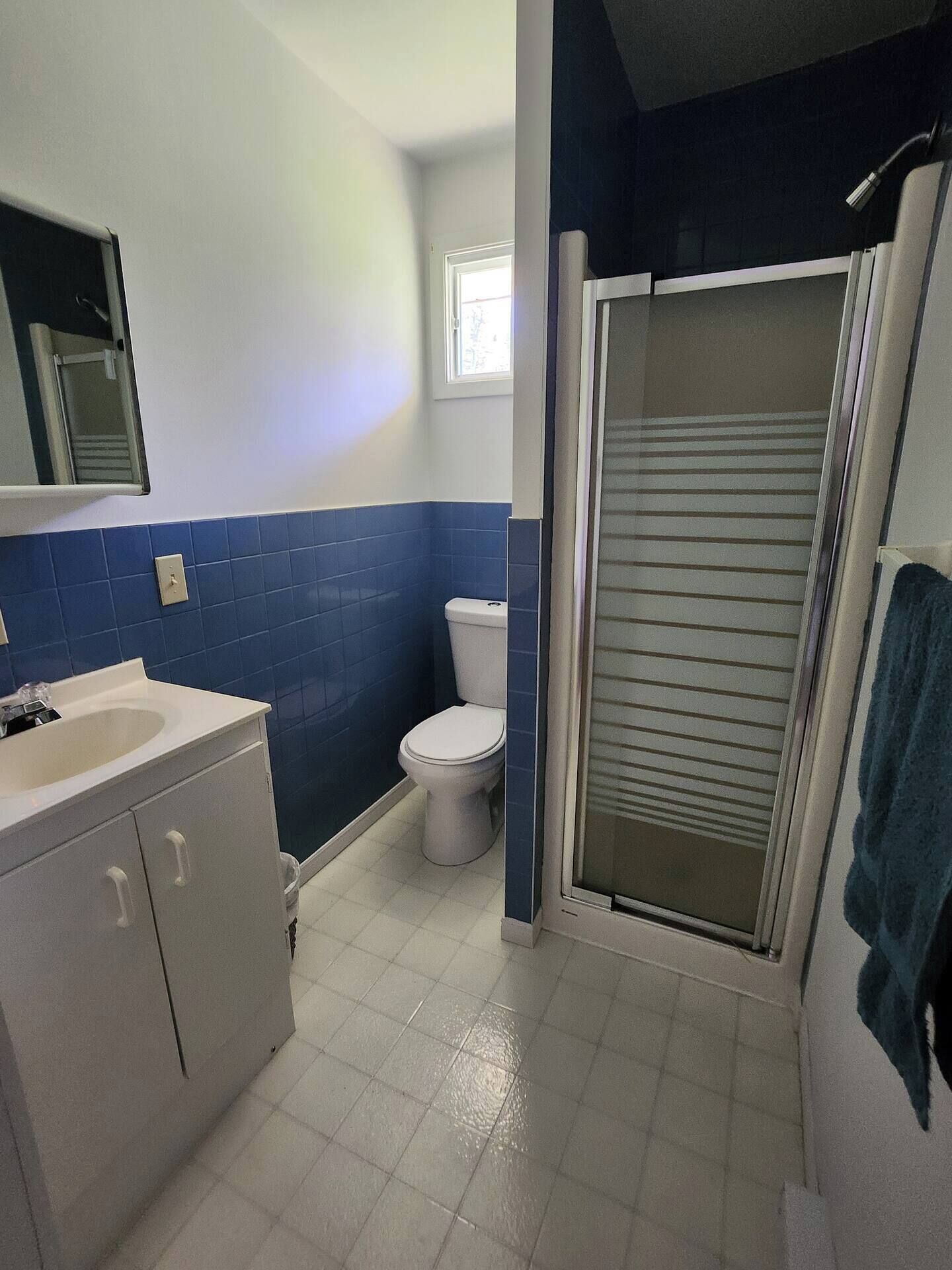 A bathroom with a white sink, a toilet, and a shower with a glass door.