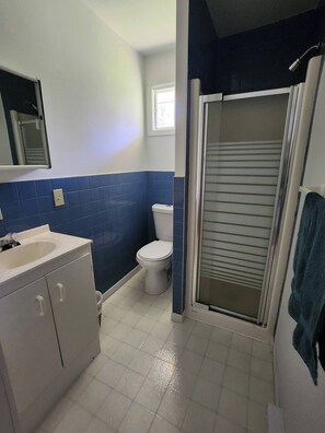 A bathroom with a white sink, a toilet, and a shower with a glass door.