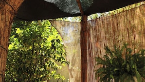A shaded outdoor area with a bamboo fence, trees, and a small plant. - Casa Pumagui (Vicuña)