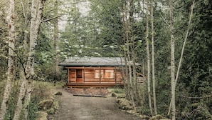 A cabin in a forest with a gravel path leading to it. - 76gs - Genuine Log Cabin - Wifi - Pets Ok - Sleeps 4 (Deming)