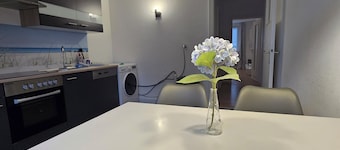 Large modern vacation apartment