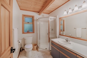 A bathroom with a toilet, shower, sink, and a large mirror.