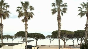 A courtyard with palm trees, a gate, and a view of the sea.