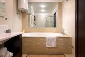 Shower, hair dryer, bidet, towels