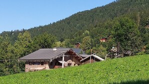 Eksteriør