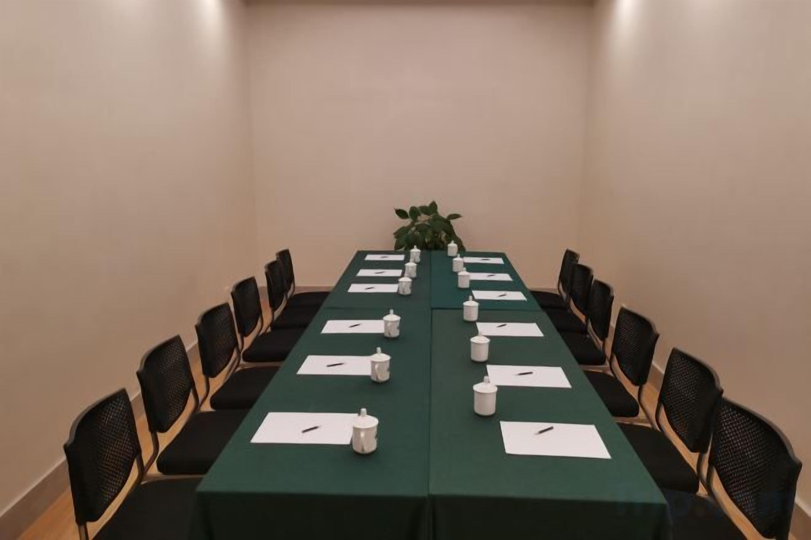 Un salón de conferencias con una mesa larga, sillas y una planta.