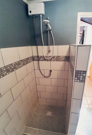 Shower, towels, toilet paper